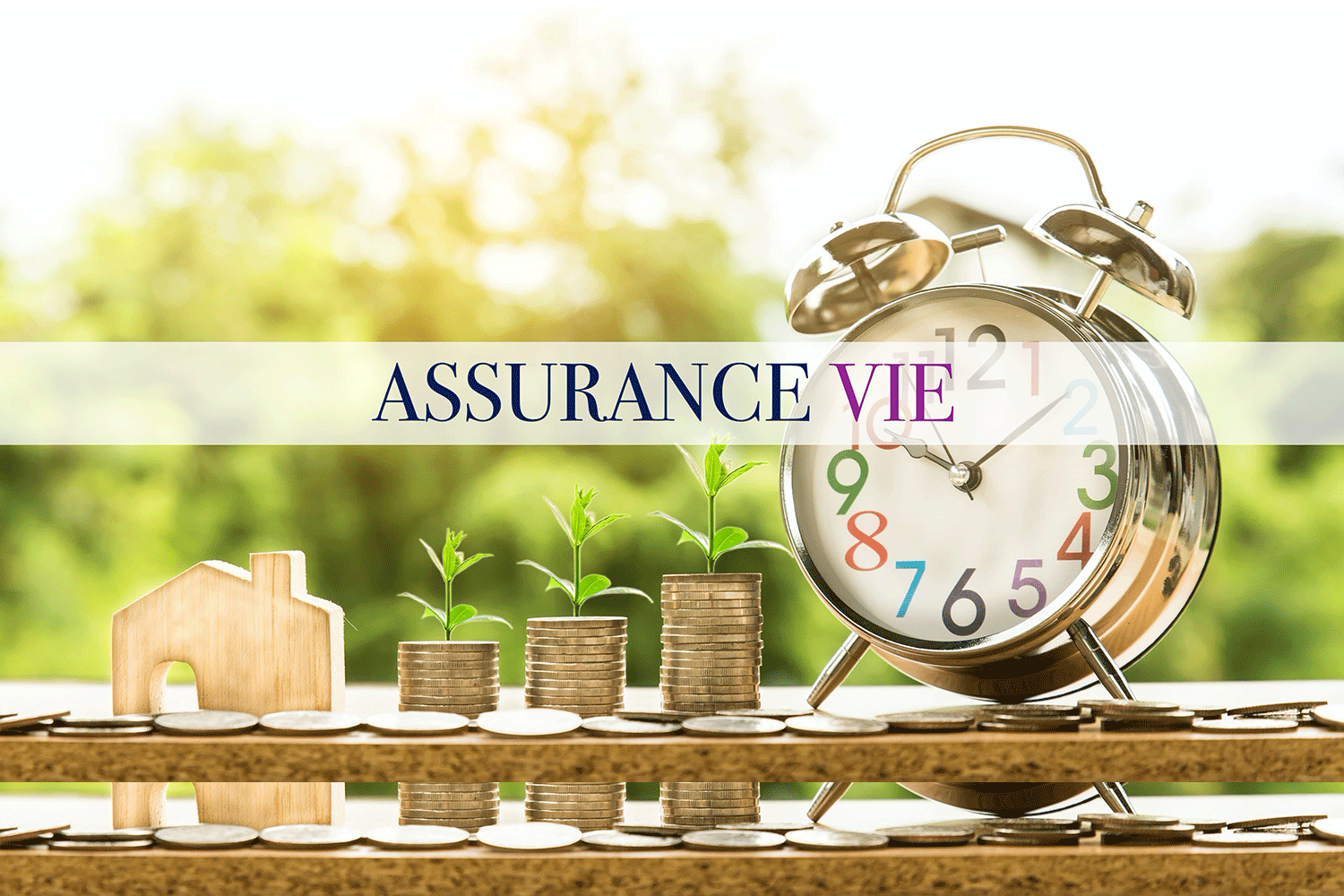 L'assurance Vie : Un Placement Attractif - LCP Partners